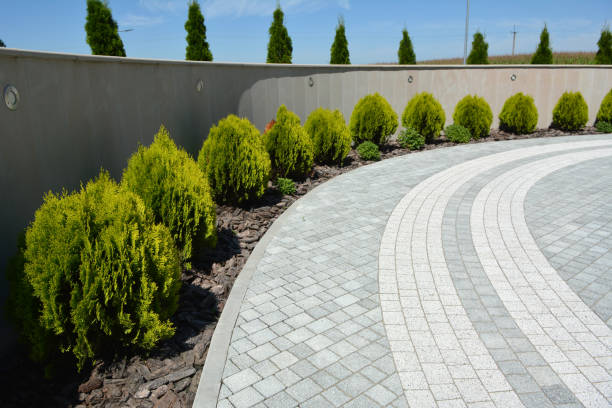 Reasons to Select Us for Your Driveway Paving Requirements in Center, TX